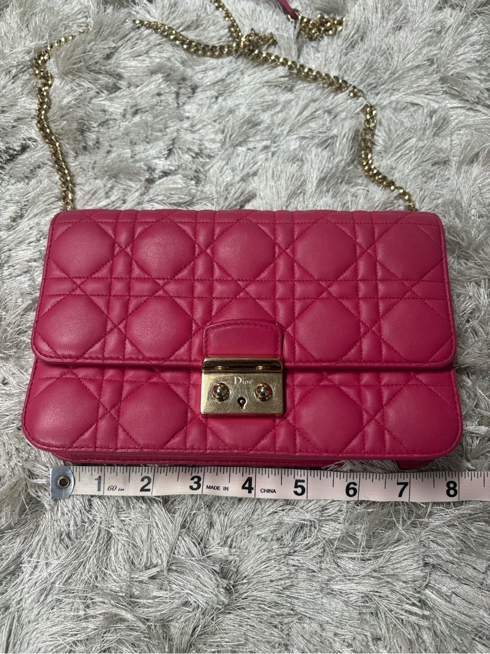 Lady Dior WOC Hot Pink Quilted Leather Chain Crossbody - Picture 3 of 14